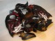 1996-2007 Black Red Flame Suzuki GSXR 1300 Hayabusa Motorbike Fairing UK Factory 1996-2007 Black Red Flame Suzuki GSXR 1300 Hayabusa Motorbike Fairing UK Factory