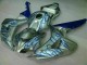 2006-2007 Blue Flame Silver Honda CBR1000RR Motorcycle Fairing Kits UK Factory 2006-2007 Blue Flame Silver Honda CBR1000RR Motorcycle Fairing Kits UK Factory
